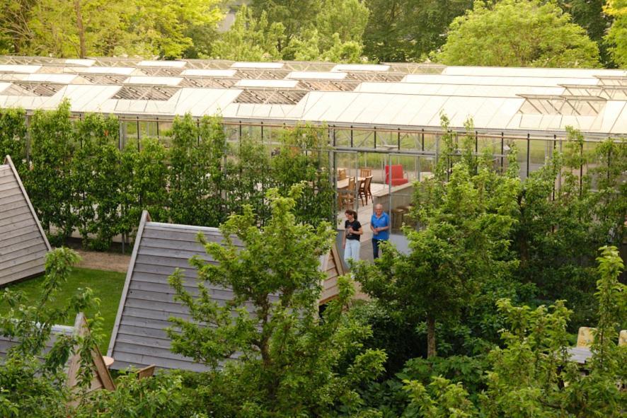 Achterhoeks Goed, Minicamping In Vragender Exteriér fotografie