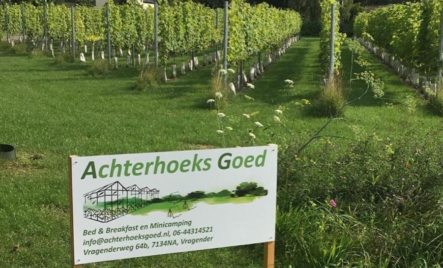 Achterhoeks Goed, Minicamping In Vragender Exteriér fotografie